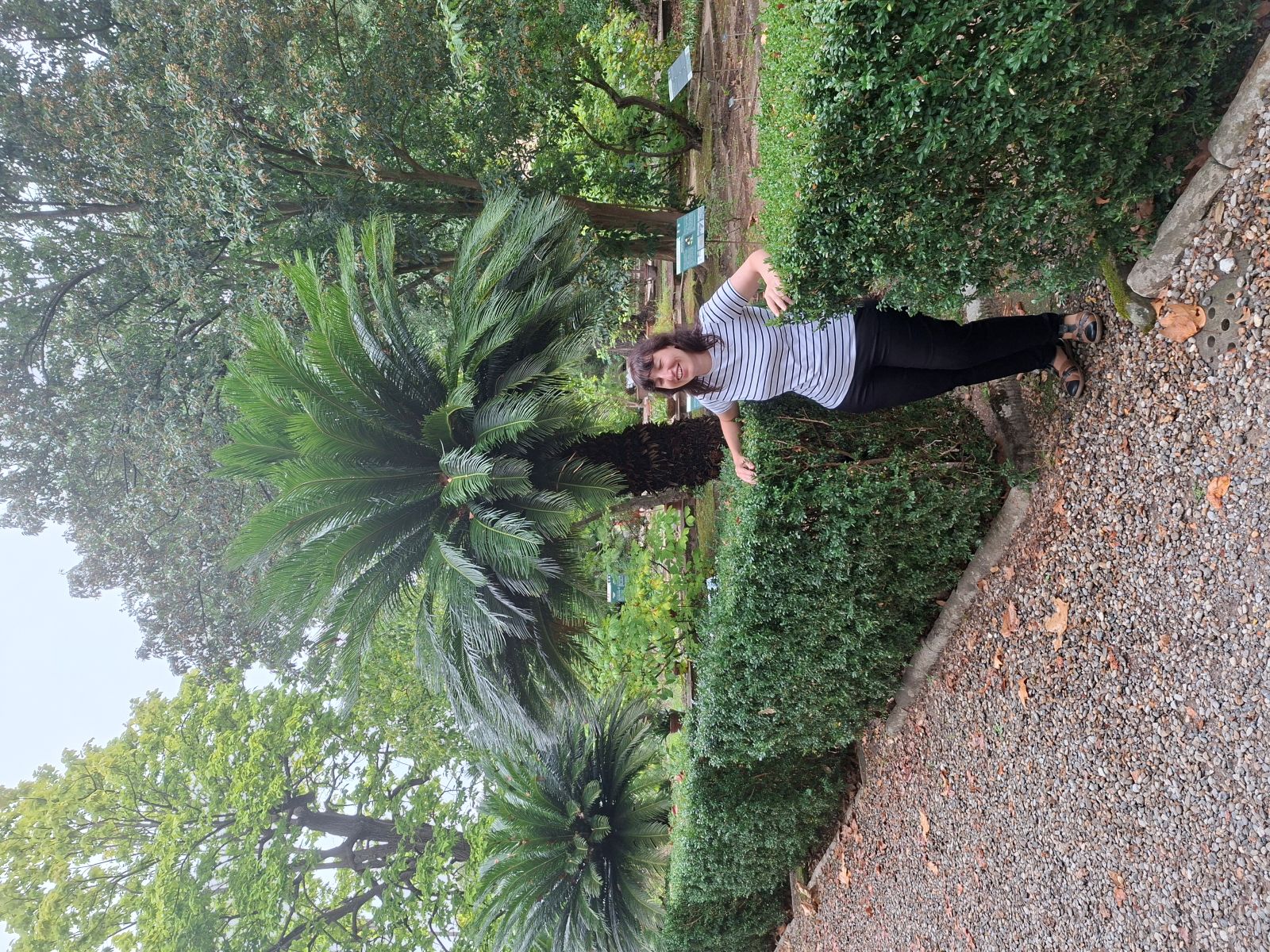 Photo from: I just wanted a good white cane