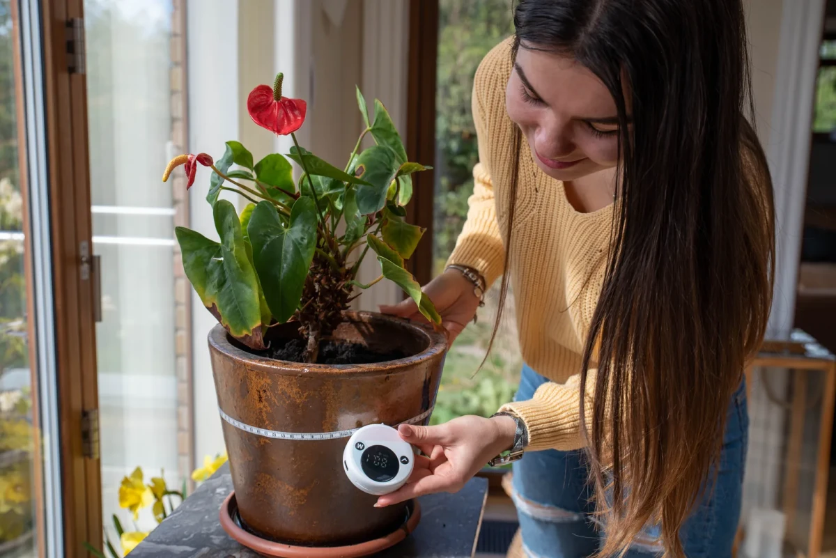 A woman measuring around a terracotta plant pot with the MT-1
